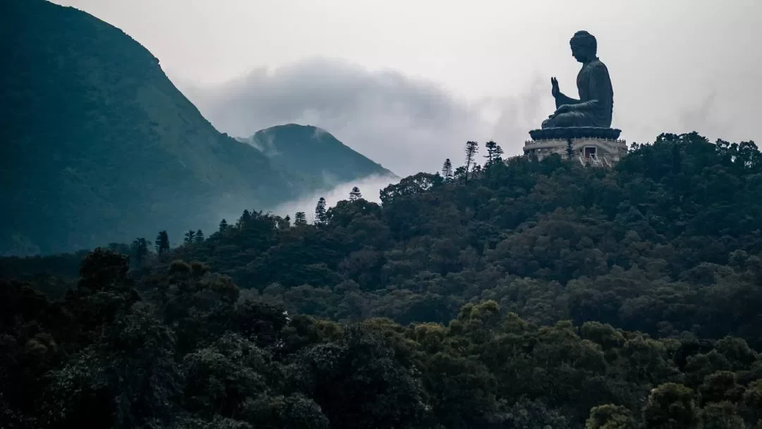 The Benefits of Meditation for Physical Fitness