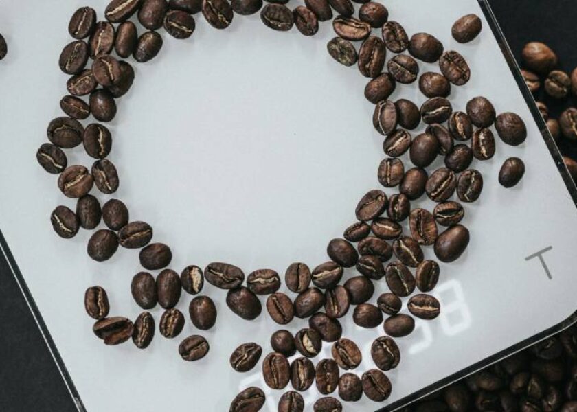 Essential Nutrition Guide for Training & Body Composition