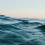 The 8 Glasses of Water Myth: Why This Rule Is Wrong and What Science Actually Says (2025)