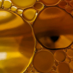 How seed oils affect metabolism and cellular function