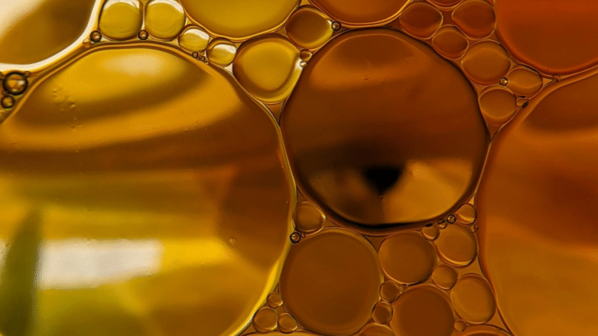 Seeds oils are slowly killing your metabolism